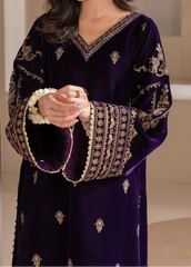 Grace W937-Embroidered 2pc Velvet Dress.