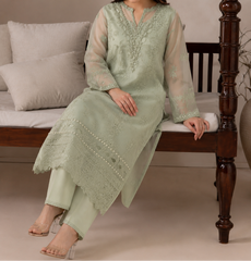 Grace S1521-Embroidered 2pc organza dress.