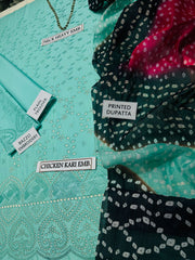 Grace S662-Embroidered 3PC Chickan Lawn with Printed munar dupatta.